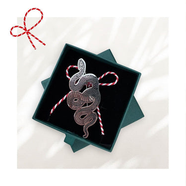 Brosa argintie, forma de sarpe, cu snur de martisor si cutiuta cadou, Althea - Pursehuit.ro