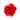 Brosa tip floare supradimensionata, rosie, Aswar C22