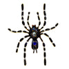 Brosa neagra, forma de tarantula, cu pietre, Aliena C5