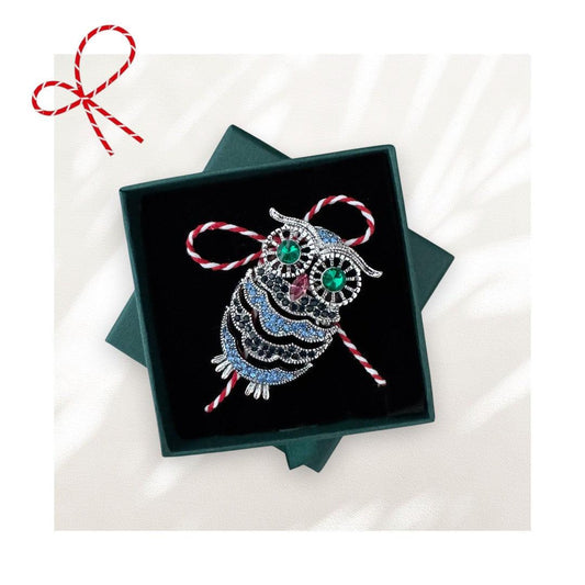 Brosa argintie, forma de bufnita, cu snur de martisor si cutiuta cadou, Aliana - Pursehuit.ro