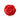 Brosa tip floare, rosie, Aggi C22